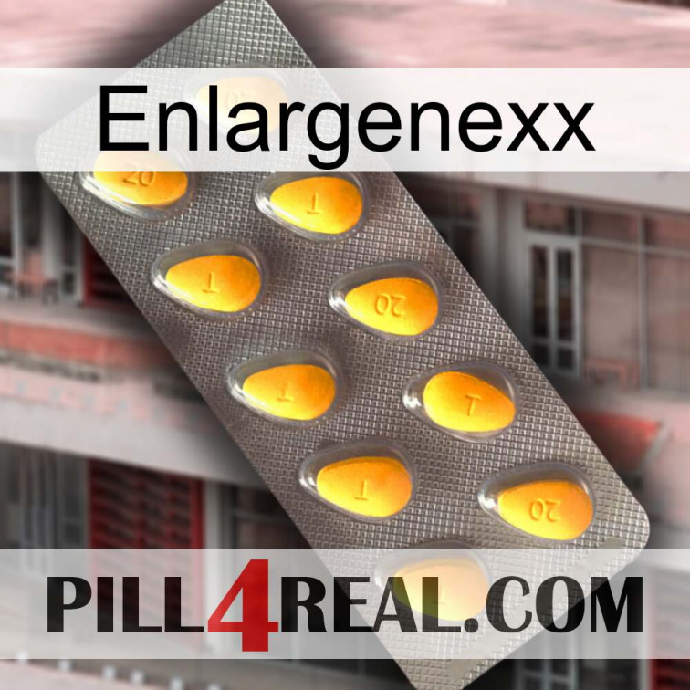 Enlargenexx cialis1